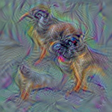 n02112350 keeshond